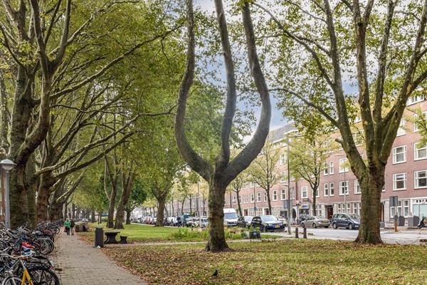 Medium property photo - Willem de Zwijgerlaan 126-3, 1056 JV Amsterdam